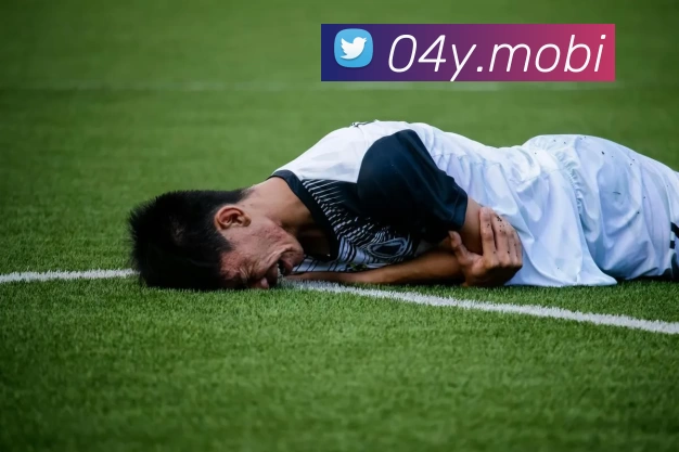 App Interface Preview